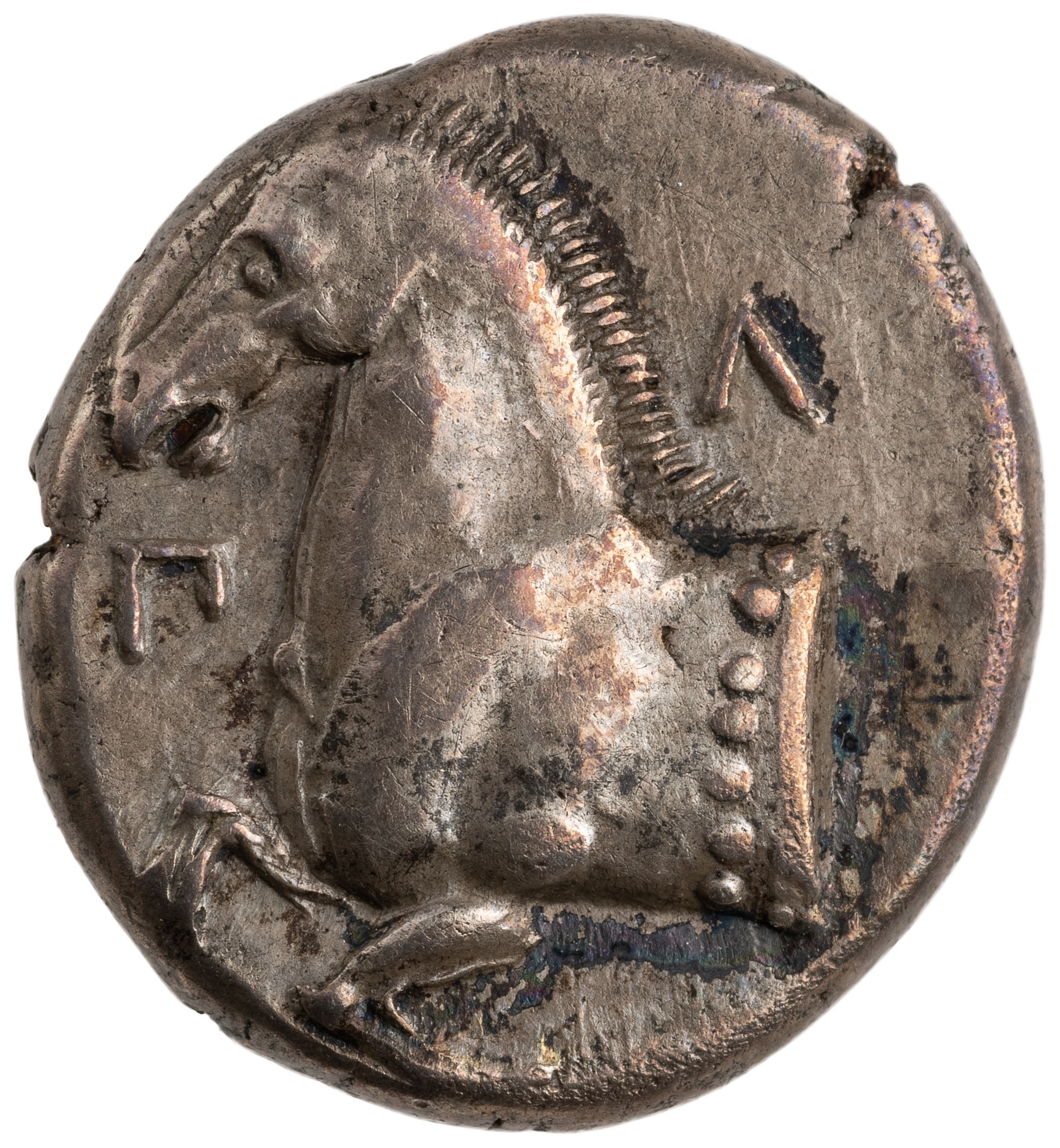 CN Type cn.maroneia.1_ed.116, аверс, cn-coins