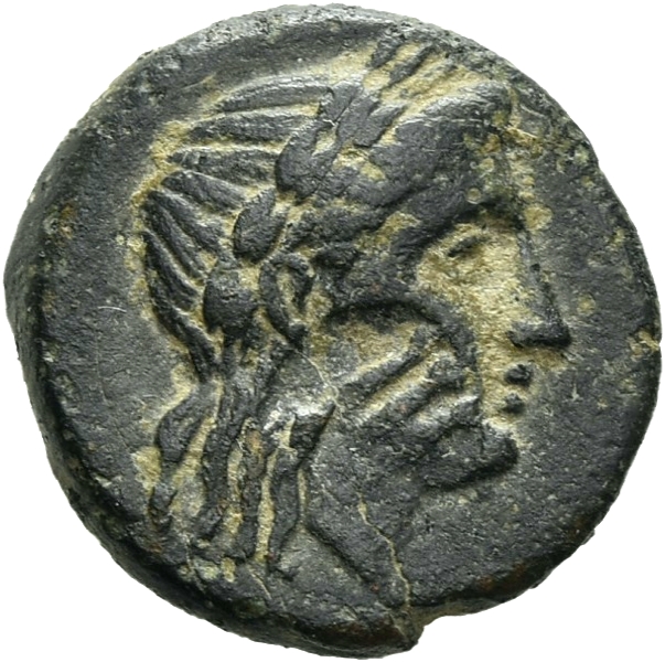 CN Type 20579, аверс, cn-coins