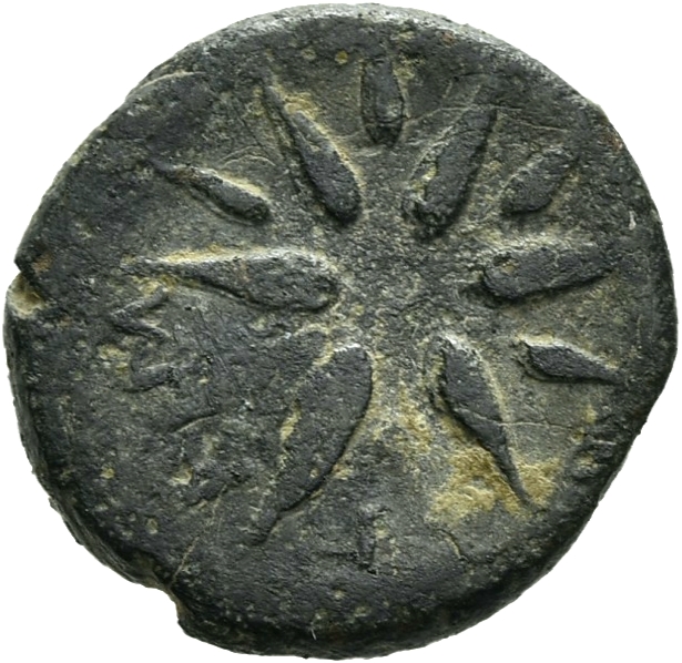 CN Type 20579, реверс, cn-coins