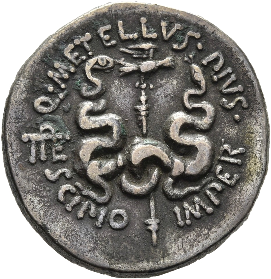 CN Type 11629, реверс, cn-coins
