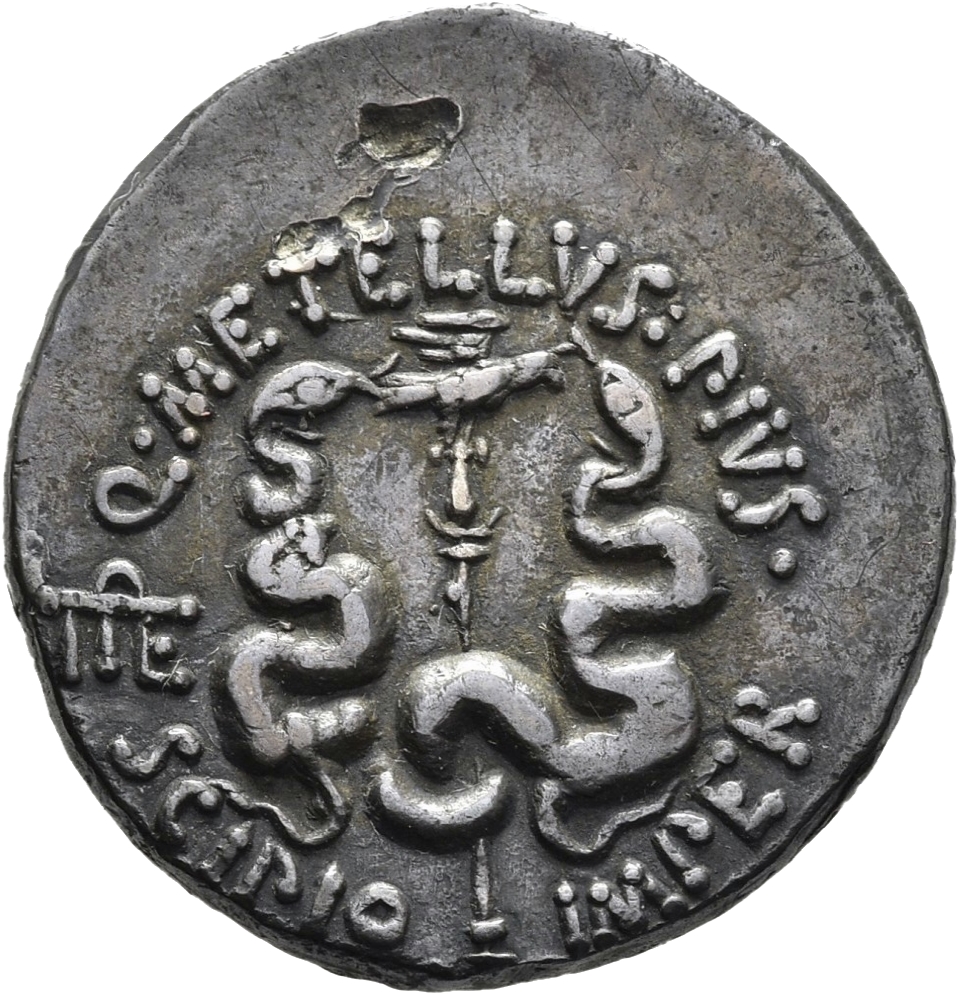 CN Type 11629, реверс, cn-coins