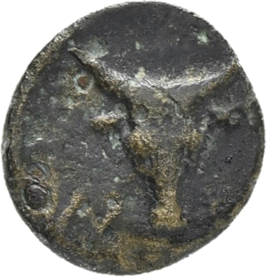 CN Type 12379, реверс, cn-coins
