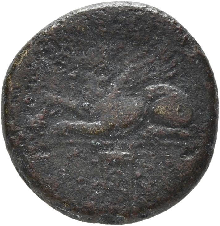 CN Type 13071, реверс, cn-coins
