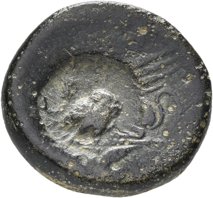 CN Type 19519, реверс, cn-coins