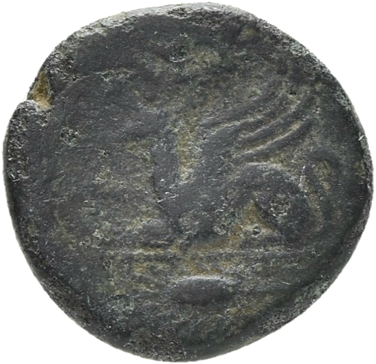 CN Type 19514, реверс, cn-coins