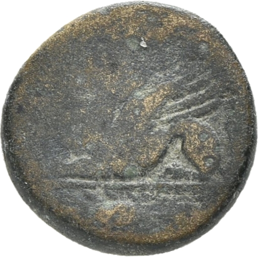 CN Type 19514, реверс, cn-coins
