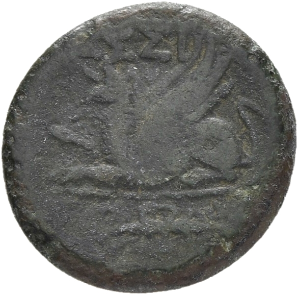 reverse CN Type 13061