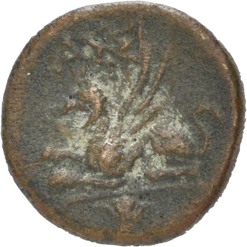 CN Type 19537, реверс, cn-coins
