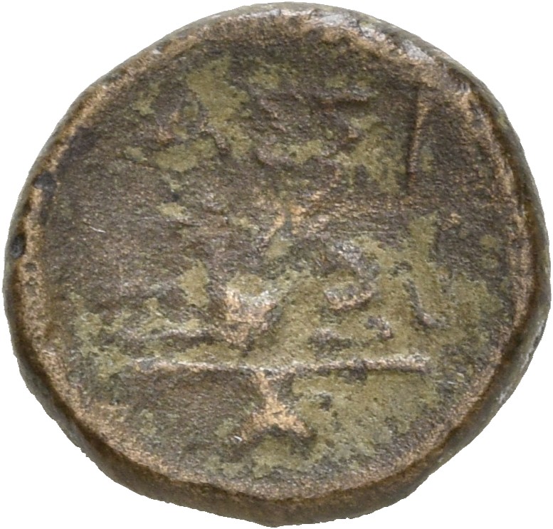 CN Type 19533, реверс, cn-coins