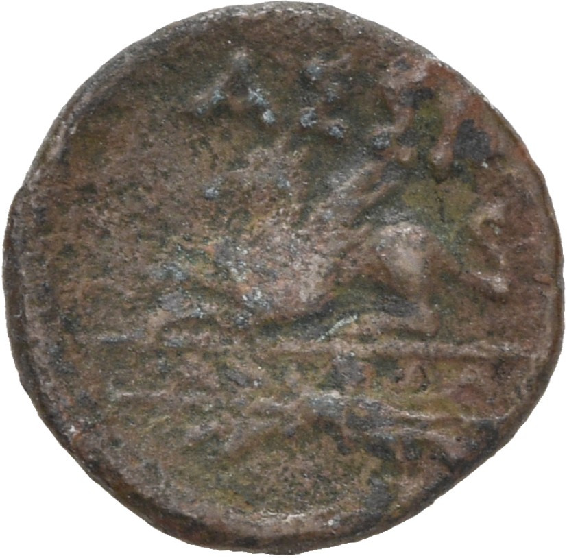 CN Type 19535, реверс, cn-coins