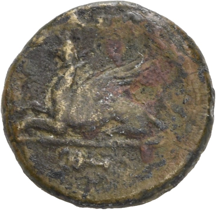 CN Type 19534, реверс, cn-coins