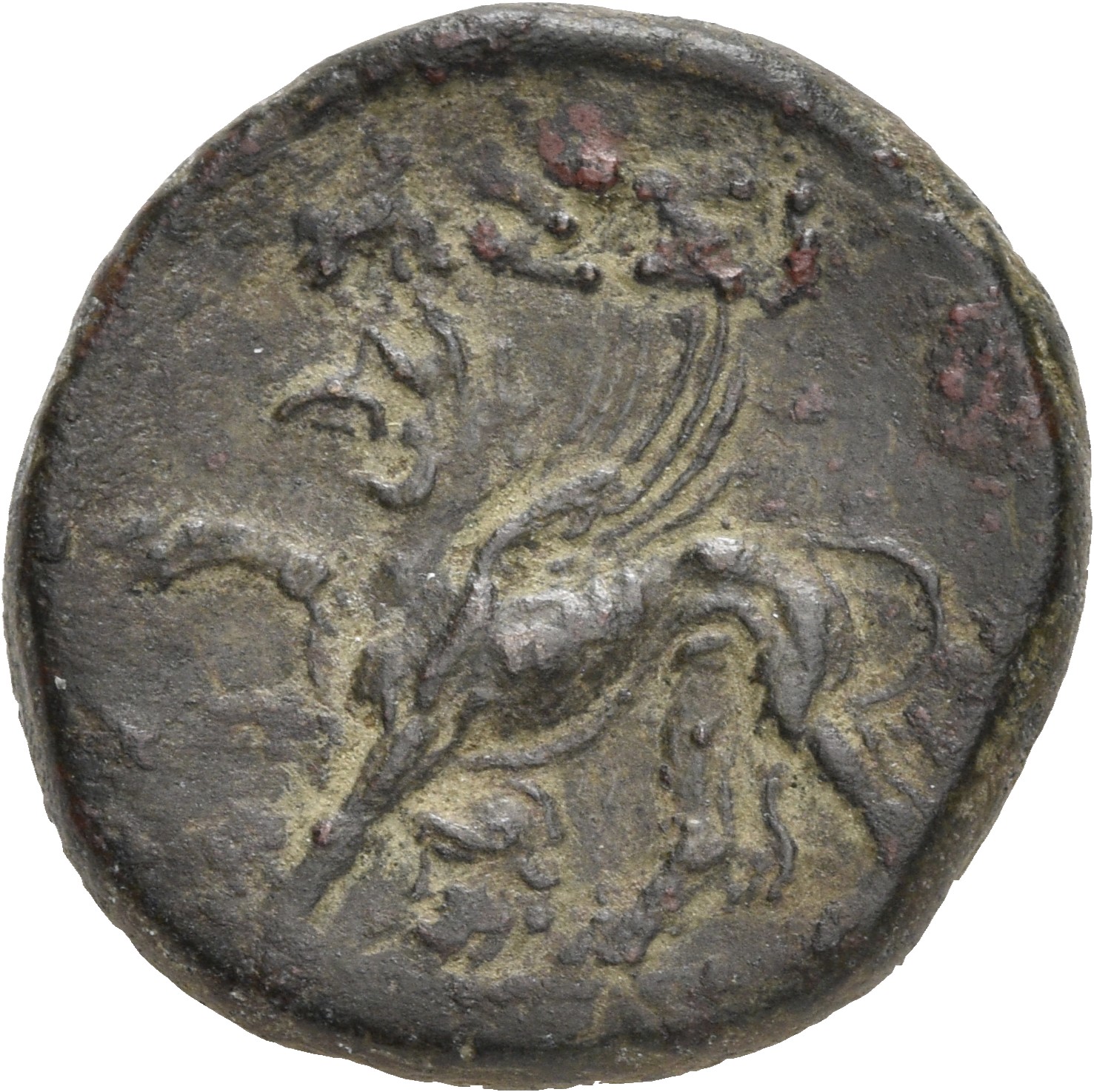 CN Type 19539, реверс, cn-coins