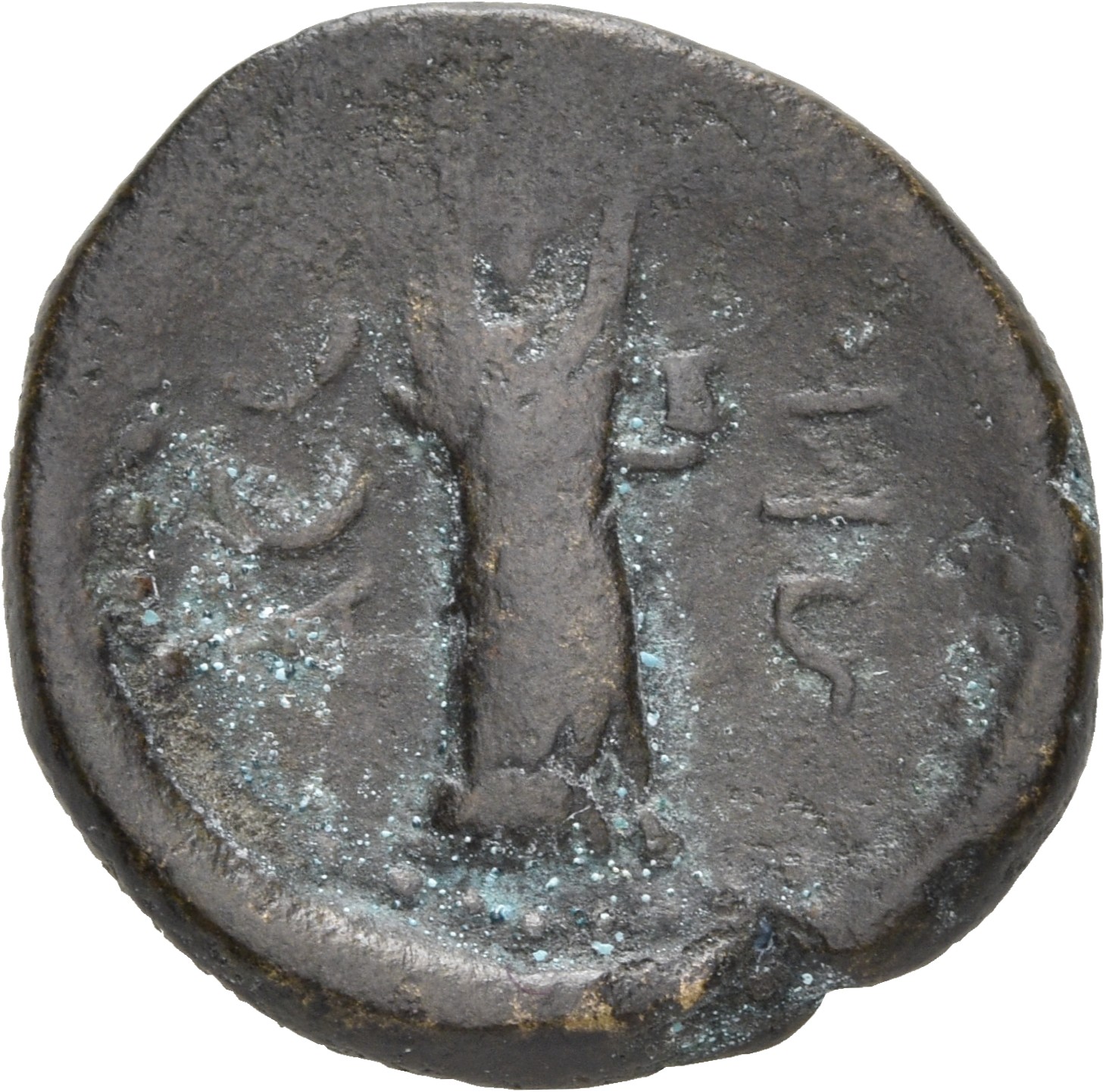 reverse CN Type 18675