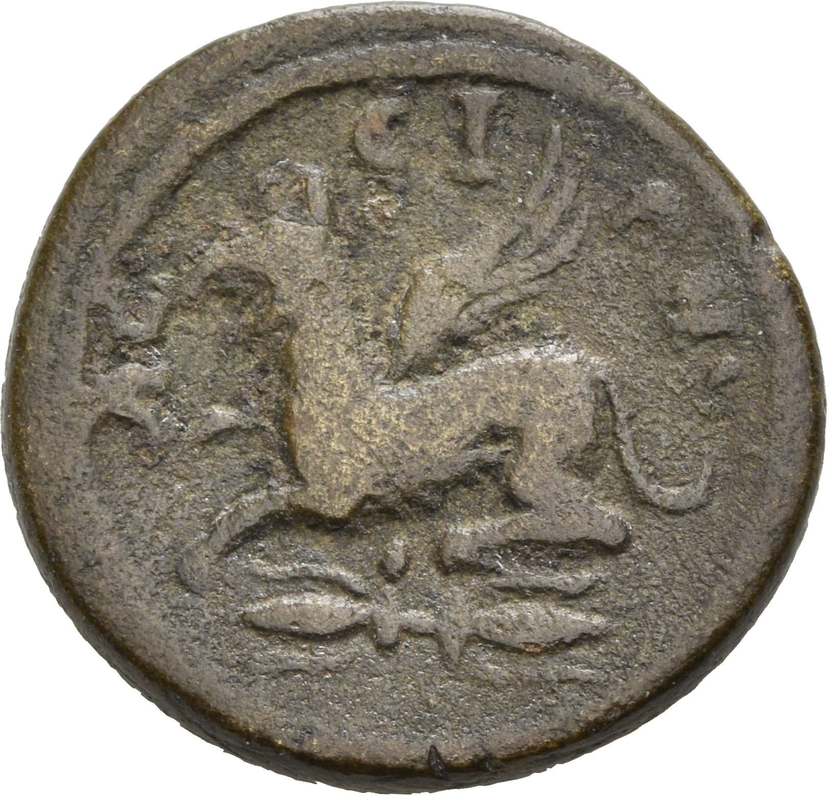 реверс CN Type 18928