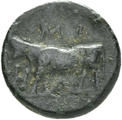 CN Type 19818, реверс, cn-coins