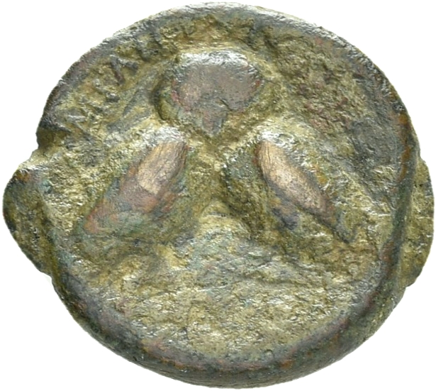 CN Type 19815, реверс, cn-coins
