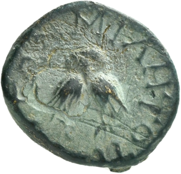CN Type 19815, реверс, cn-coins