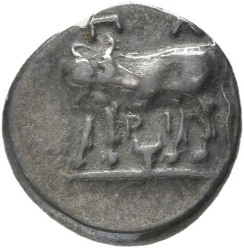 CN Type 21203, аверс, cn-coins