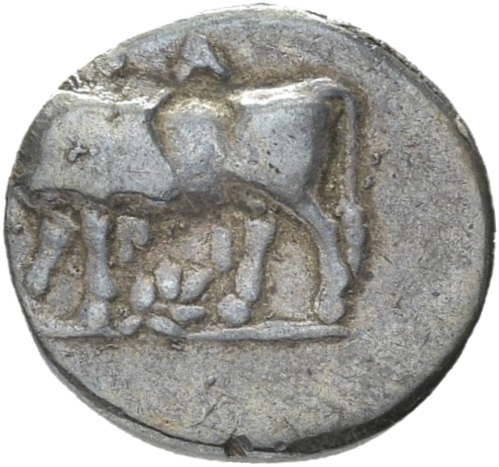 CN Type 21206, аверс, cn-coins