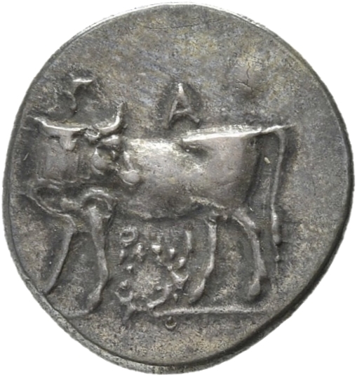 CN Type 21204, аверс, cn-coins