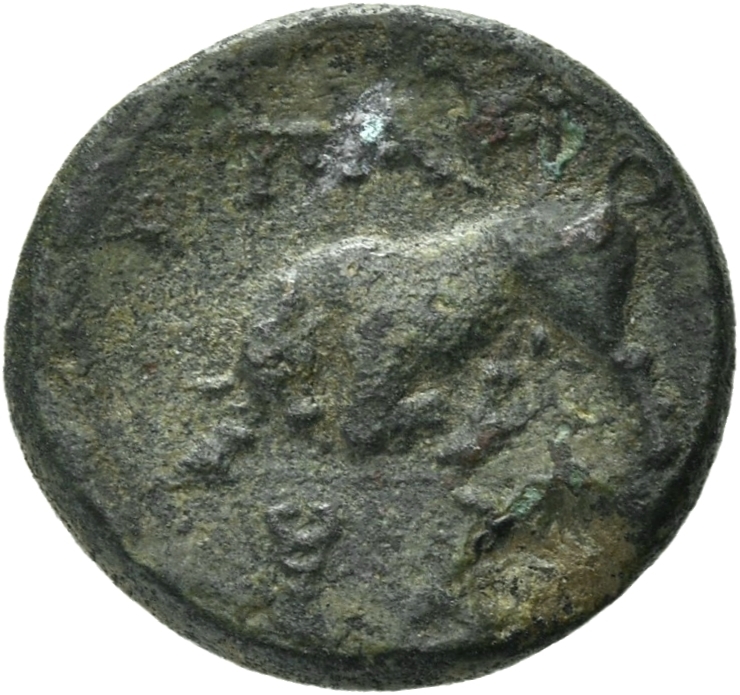 реверс CN Type 12939