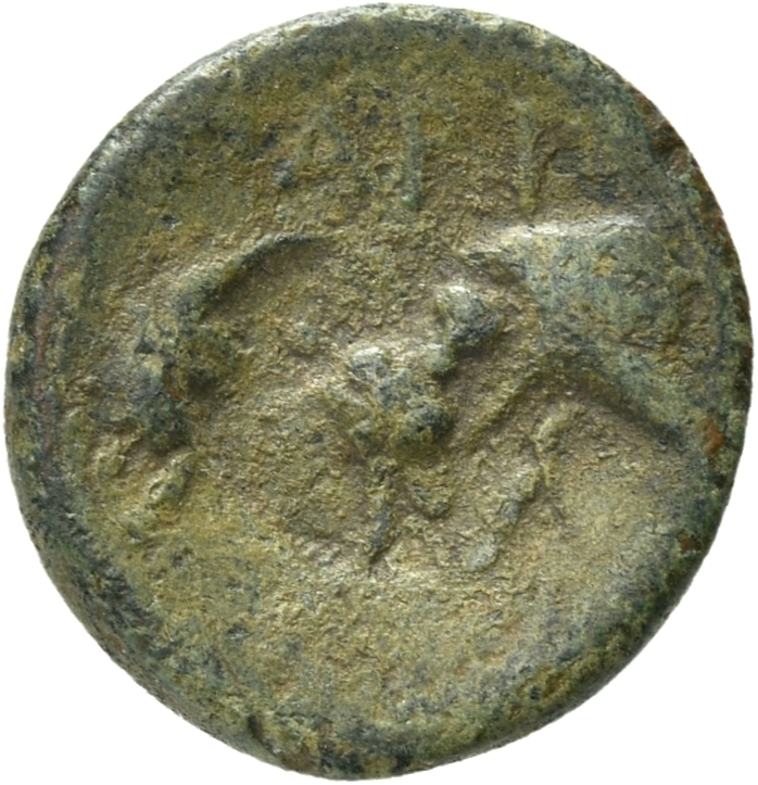 CN Type 12939, реверс, cn-coins