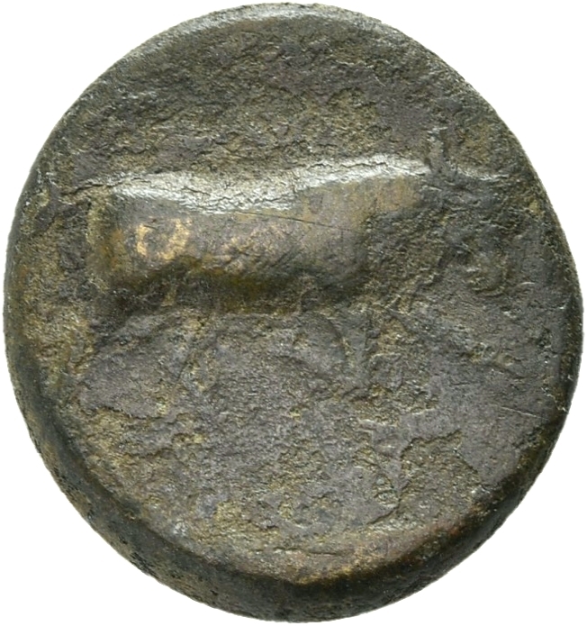 CN Type 21250, аверс, cn-coins