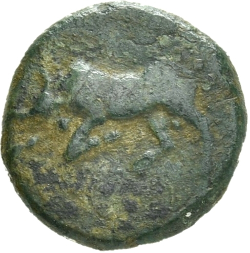 CN Type 21262, аверс, cn-coins