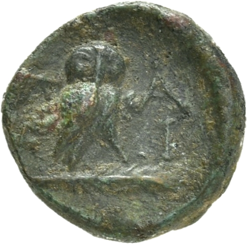 CN Type 21282, реверс, cn-coins