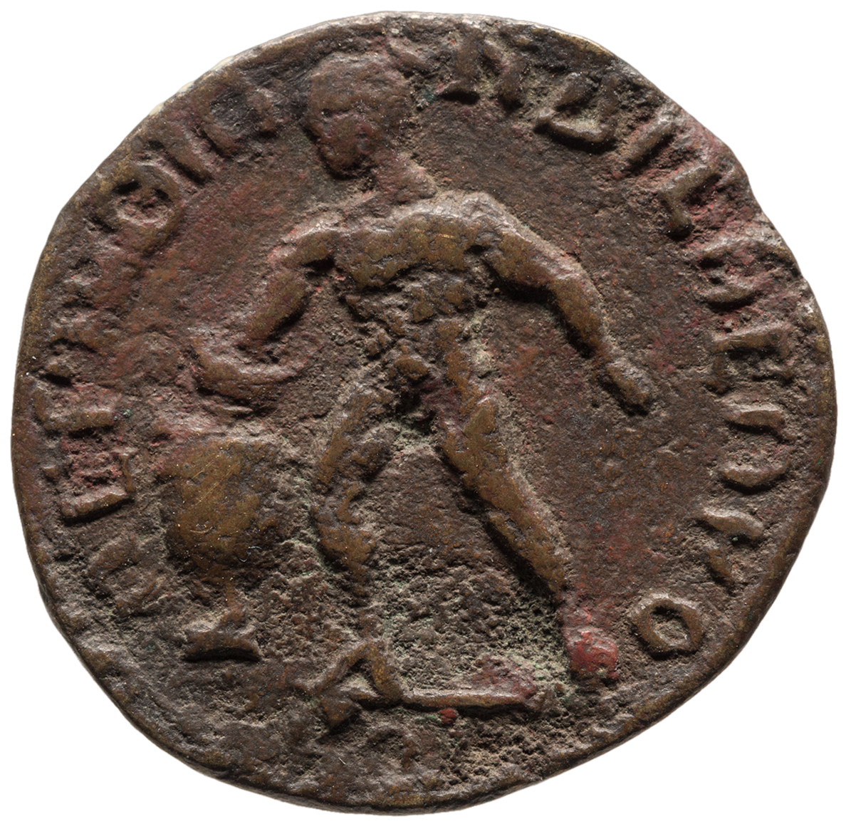 reverse CN Type cn.perinthus.1_ed.535