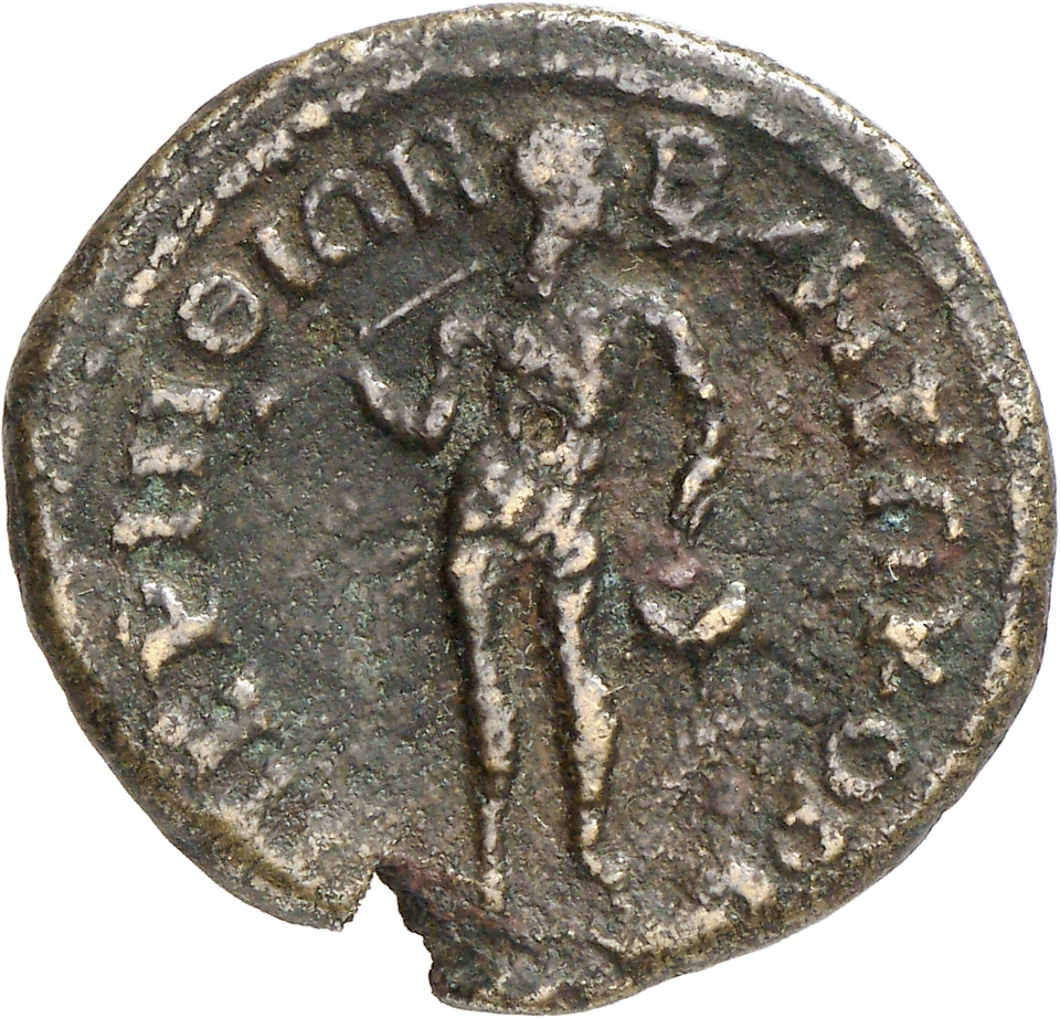 reverse CN Type cn.perinthus.1_ed.533