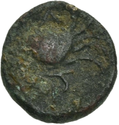 CN Type 19709, реверс, cn-coins