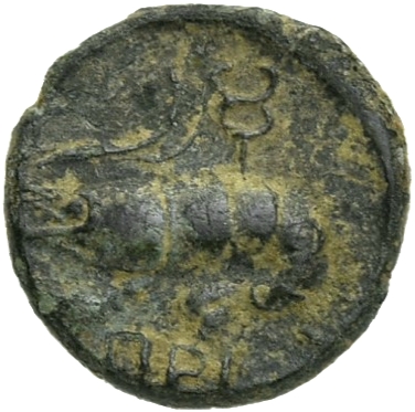 реверс CN Type 19708