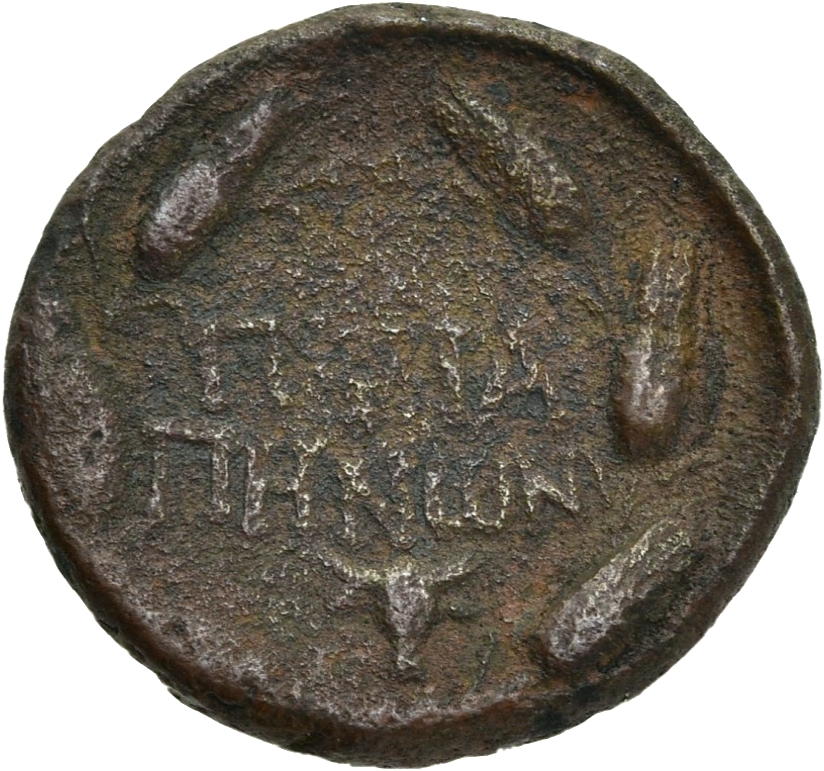 реверс CN Type 19733