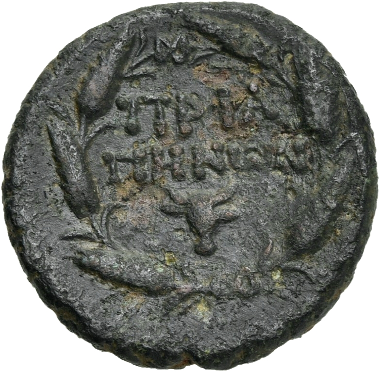CN Type 19733, реверс, cn-coins