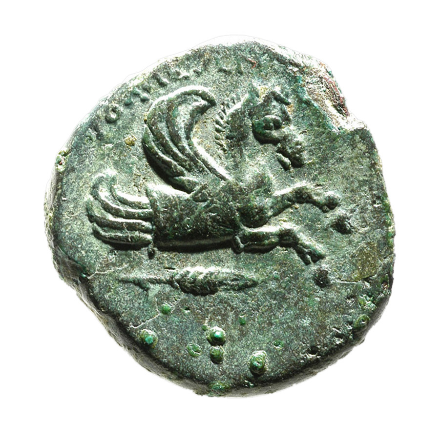 CN Type 3398, реверс, cn-coins