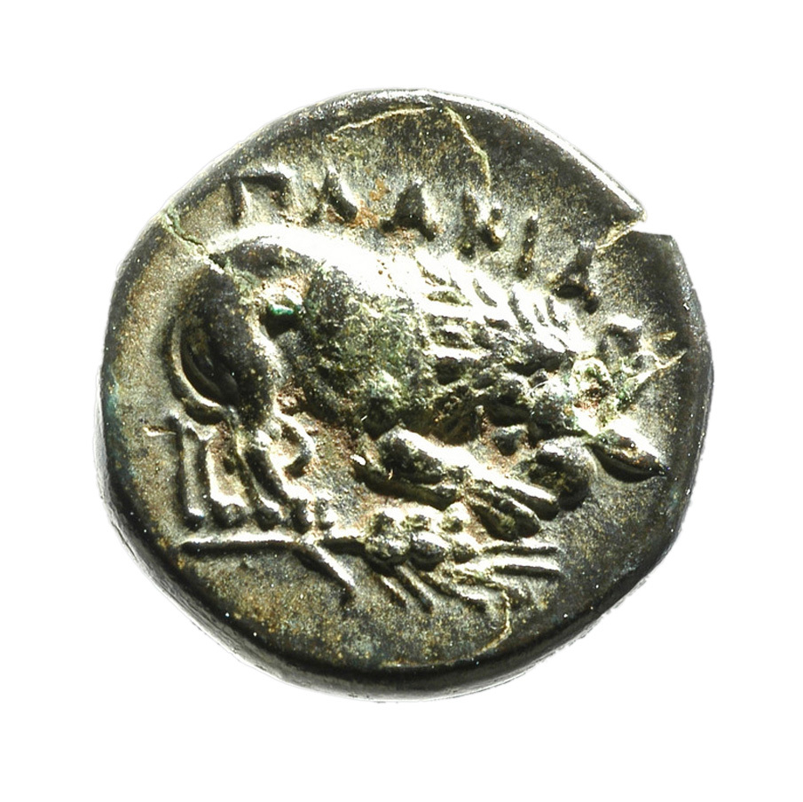 CN Type 12783, реверс, cn-coins