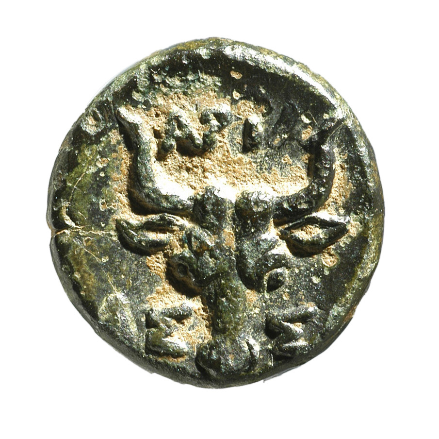 CN Type 12376, реверс, cn-coins