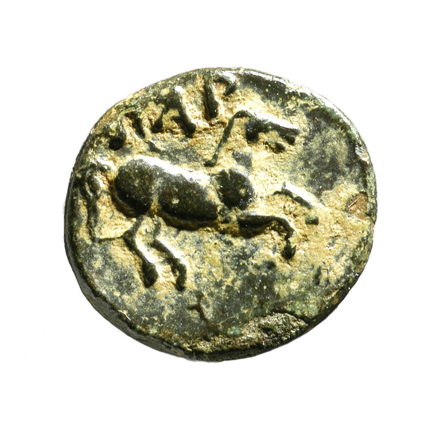 CN Type 12916, реверс, cn-coins
