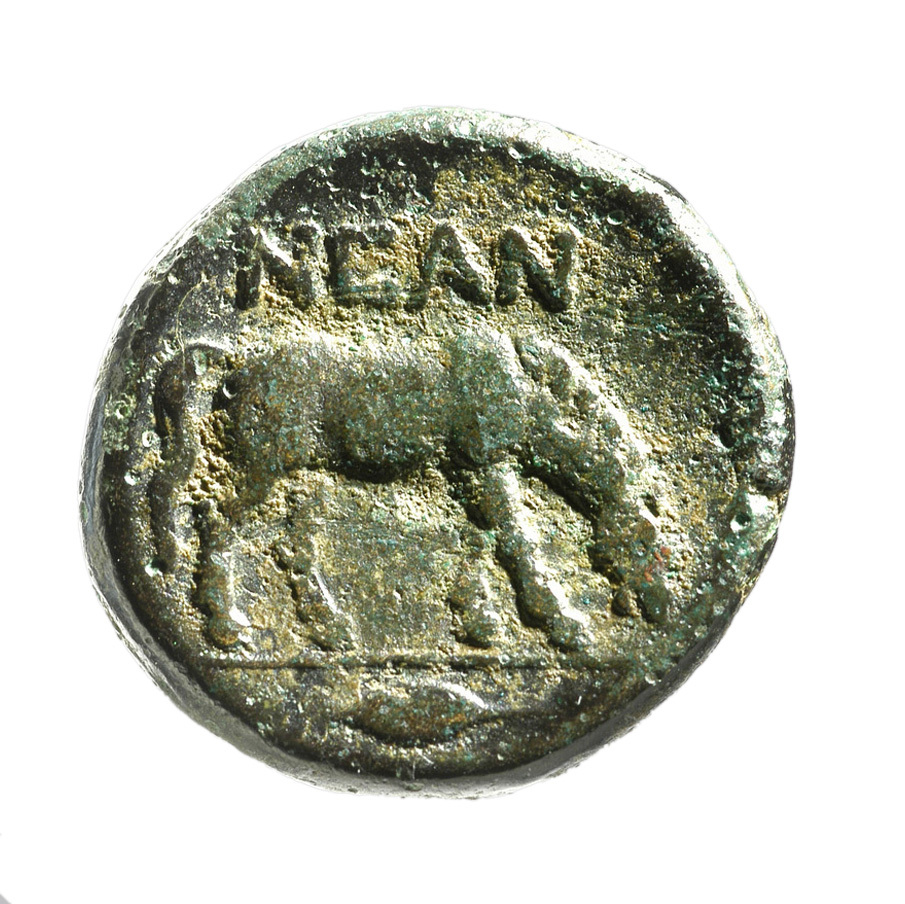CN Type 5062, реверс, cn-coins