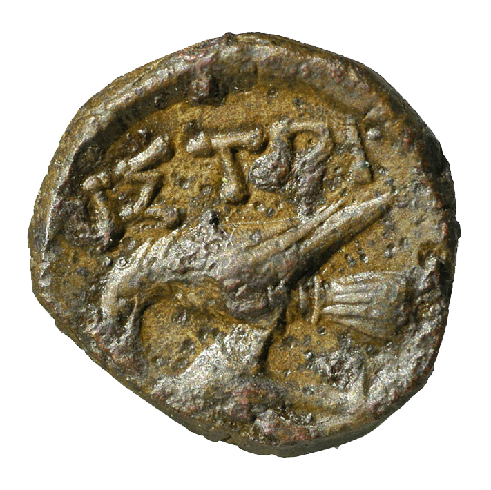 CN Type 7201, реверс, cn-coins