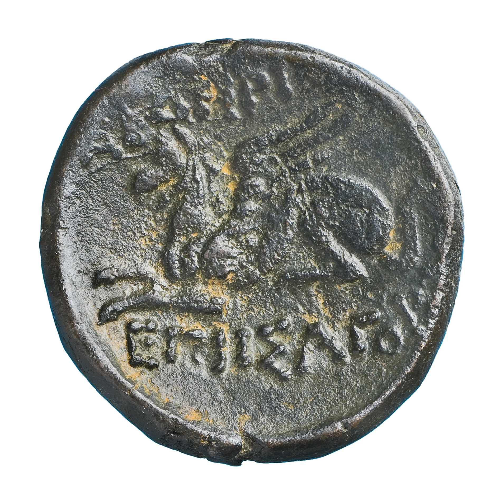 CN Type cn.abdera_thrace.1_ed.313, реверс, cn-coins