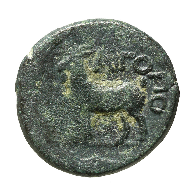 coin rev