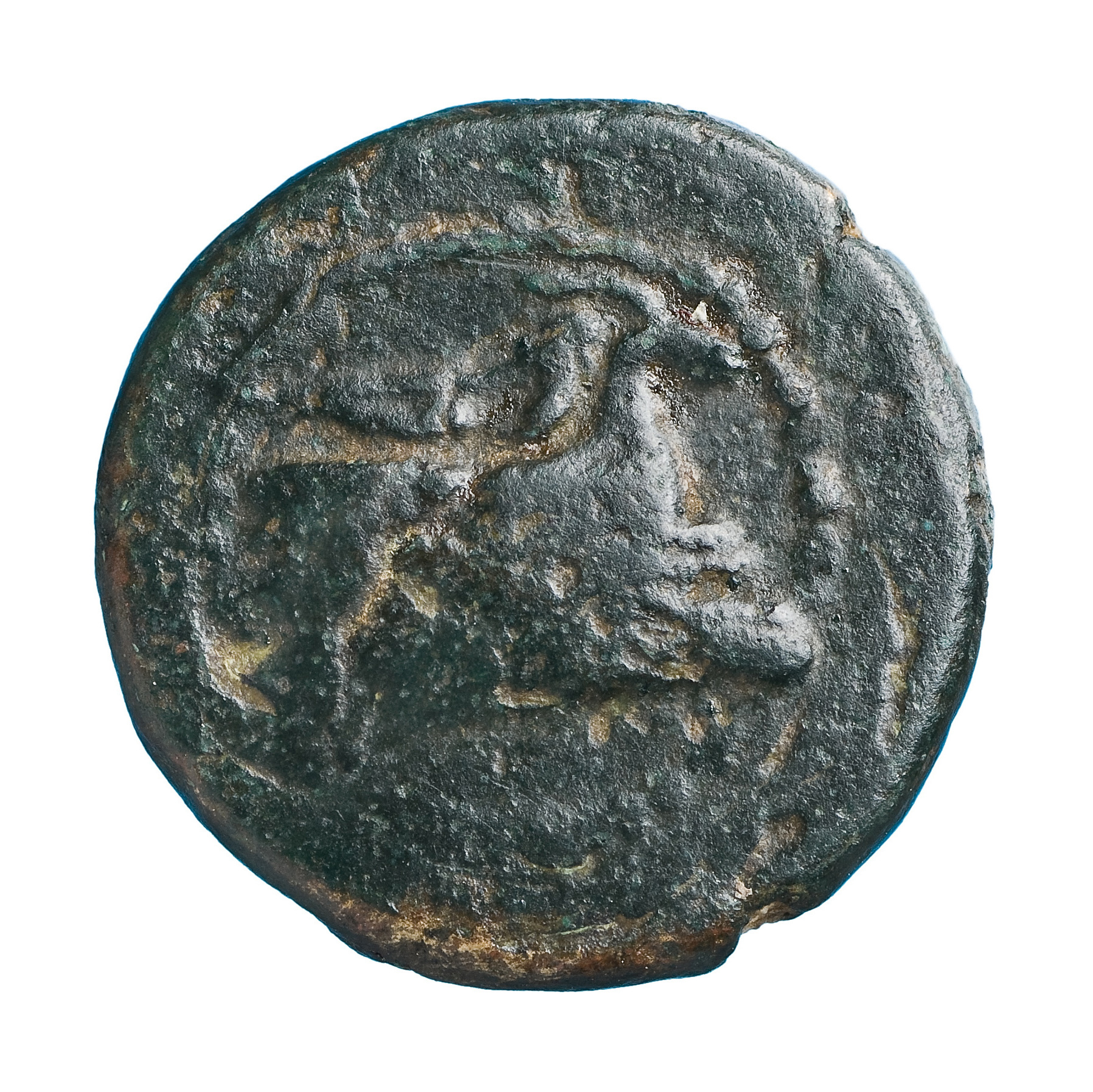 obverse CN Type cn.elaeus.1_ed.13