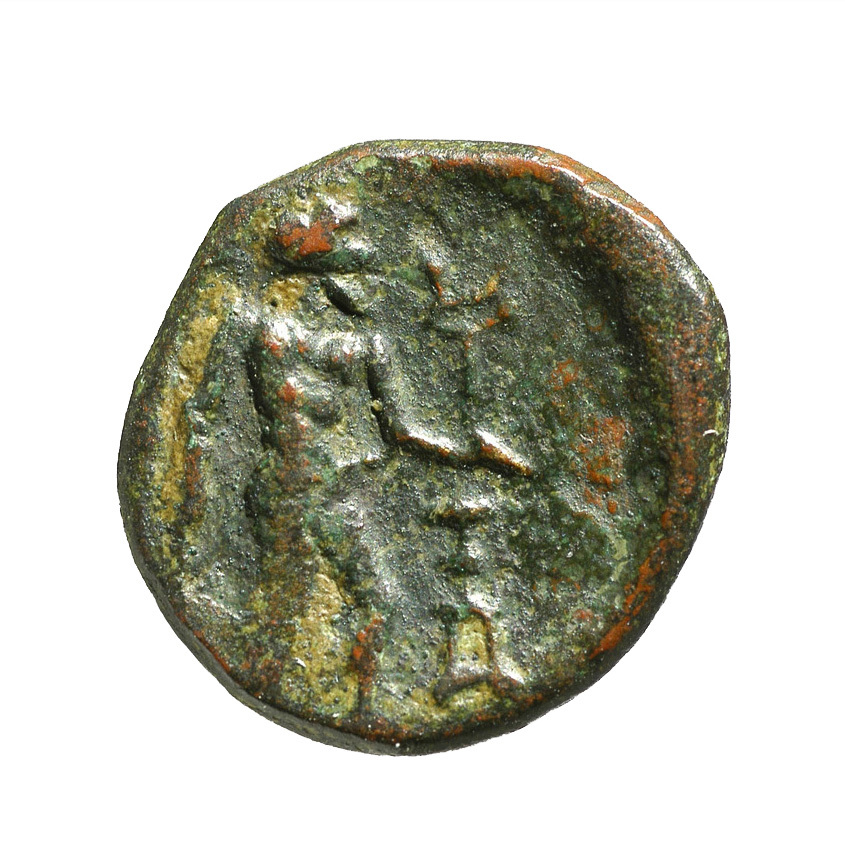 реверс CN Type cn.imbros.1_ed.6