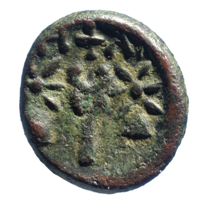 реверс CN Type cn.hephaestia.1_ed.21
