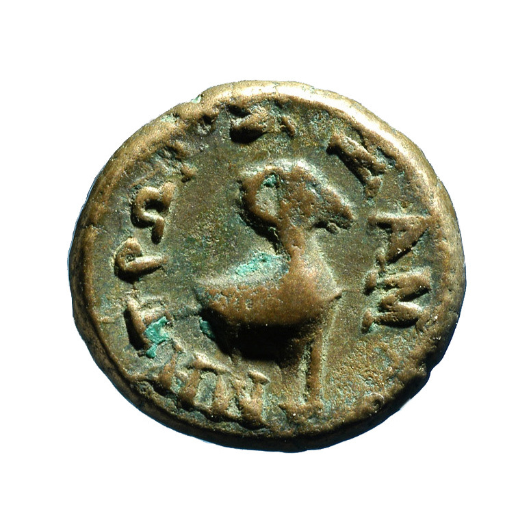 реверс CN Type cn.samothrace.1_ed.17