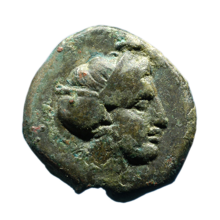 CN Type cn.cersobleptes_odrysian_thrace.1_ed.3, аверс, cn-coins