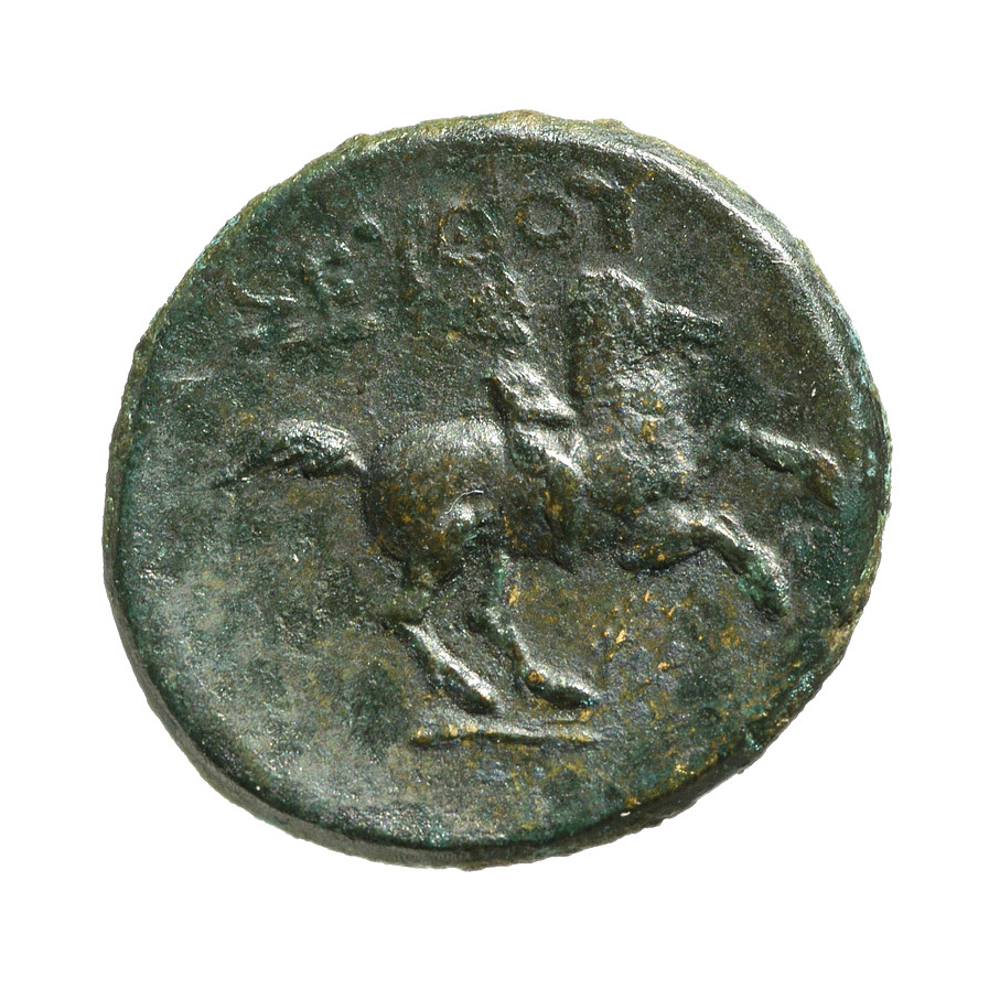 CN Type cn.seuthes_iii_odrysian_thrace.1_ed.1, реверс, cn-coins