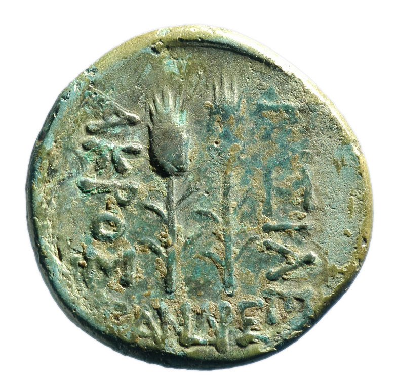 coin rev